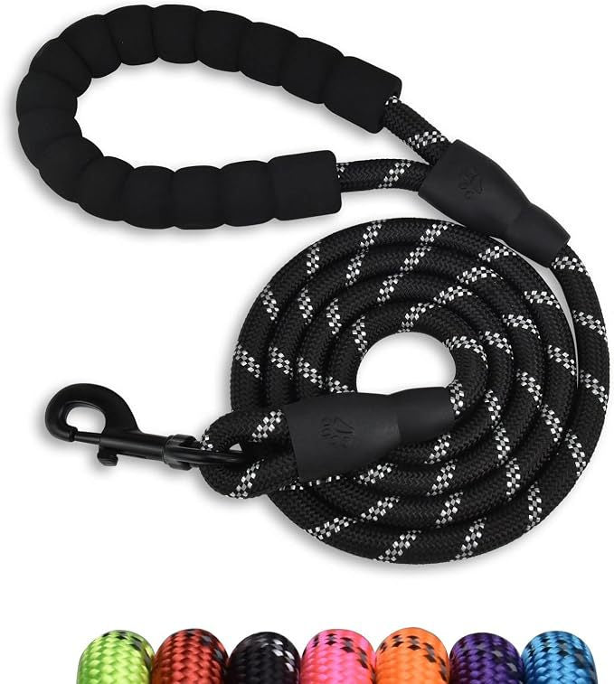 Correa para Perro | Resistente y Cómoda