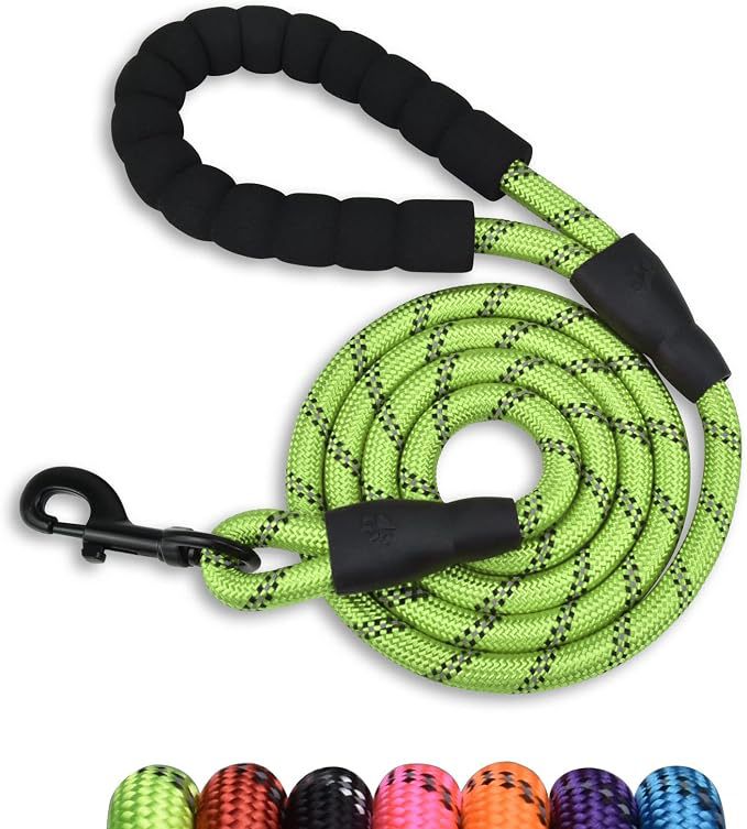dog leash