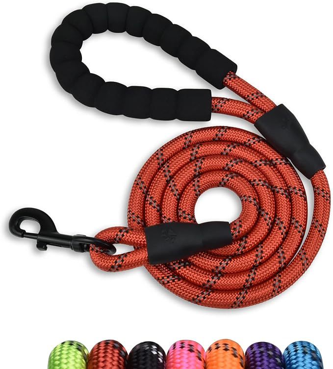 dog leash